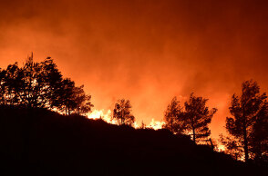 Όλοι μαζί τα κάψαμε