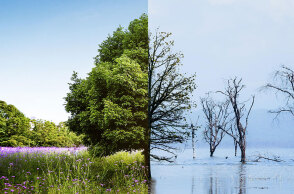 Συγκρατημένα ανήσυχοι οι Έλληνες για το κλίμα