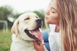 Παγκόσμια Ημέρα των Ζώων, 4 Οκτωβρίου - Το σωματείο «Αντιμετώπιση Παιδικού Τραύματος» παρέχει οδηγίες πρόληψης παιδικών ατυχημάτων από ζώα. 