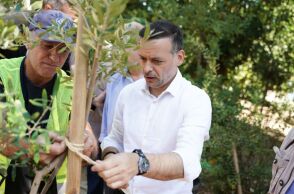 Δήμος Αθηναίων: Η Αθήνα πρασινίζει - Ξεπεράσαμε τα 3.000 νέα δέντρα