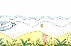 Δήμητρα Αμανίτου: Ταξίδι μ' ανοιχτό εισιτήριο