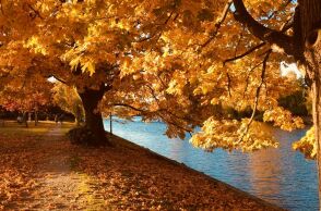 Εορτολόγιο: Σήμερα 11 Οκτωβρίου 2024 γιορτάζει…