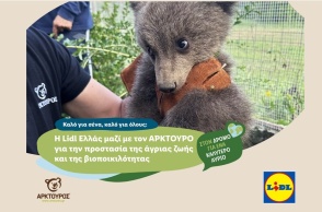 lidl-hellas-arktouros