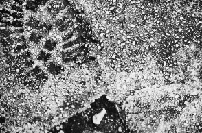 Καινοτόμες λύσεις για μείωση της χρήσης σκυροδέματος