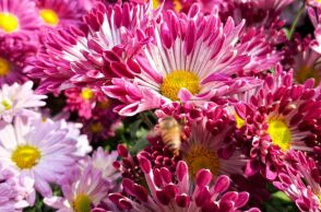 Εορτολόγιο