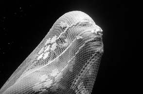 Ο υποβρύχιος κόσμος της Ρενέ Ρεβάχ  