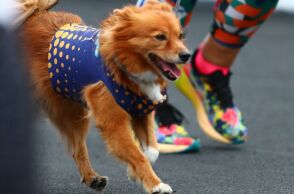 Ξεκινούν νωρίτερα και ενισχύονται τα δρομολόγια του μετρό λόγω διεξαγωγής του 41ου Αυθεντικού Μαραθωνίου της Αθήνας - Κυκλοφοριακές ρυθμίσεις στο τραμ