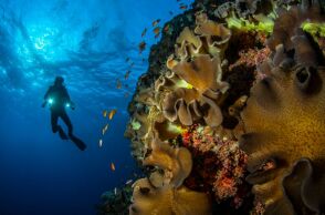 Οι προκλήσεις, τα κενά και οι προοπτικές για τις θαλάσσιες προστατευόμενες περιοχές στην Ελλάδα