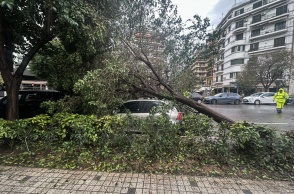 Δέντρο έπεσε πάνω σε αυτοκίνητο σε δρόμο της Θεσσαλονίκης μετά την κακοκαιρία Bora