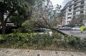Δέντρα πεσμένα σε δρόμους και αυτοκίνητα στη Θεσσαλονίκη