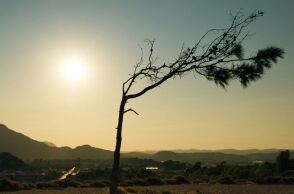 Το 2025 αναμένεται να είναι μια από τις τρεις θερμότερες χρονιές που έχουν καταγραφεί ποτέ