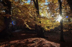 Με ισχυρούς ανέμους, ήλιο και μικρή άνοδο της θερμοκρασίας ο καιρός την Τετάρτη