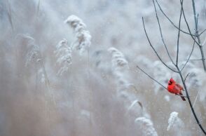 Χειμερινό ηλιοστάσιο 2024: Πότε είναι η μεγαλύτερη νύχτα του χρόνου 