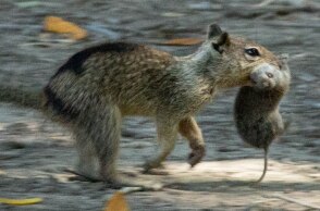 cbe43780a5a5f4afb33cab00b466886d45e86d2d