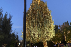 Σε βλέπω… χτενισμένο