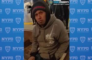 fotia-metro-nea-yorki