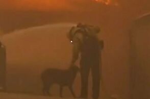 Καλιφόρνια: Η συγκινητική στιγμή που πυροσβέστης σβήνει τη φωτιά ενώ παρηγορεί χαμένο σκύλο