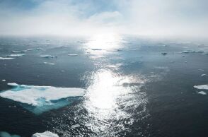 untitled_design_-_2025-01-10t194820_788