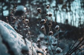 Εορτολόγιο: Σήμερα, 15 Ιανουαρίου 2025, γιορτάζει…