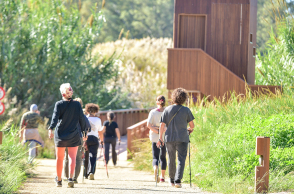 Άσκηση και ευεξία δίπλα στη φύση με δωρεάν προγράμματα στην Πάτρα