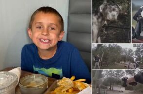 ΗΠΑ: Αγόρι που έκανε ποδήλατο κοντά στο σπίτι του στη Φλόριντα έχασε τη ζωή του όταν σταμάτησε για να χαϊδέψει δύο σκυλιά που του επιτέθηκαν βάναυσα. 