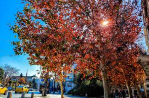 Καιρός: Ανοιξιάτικο το Σαββατοκύριακο - Πότε φτάνει στη χώρα το «σιβηρικό ψύχος»