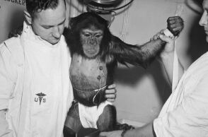 Σαν σήμερα το πρόγραμμα Μέρκιουρι - Ο χιμπαντζής Χαμ εκτοξεύεται στο διάστημα με τον πύραυλο Ρεντστόουν 2