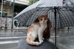 Ο καιρός τη Δευτέρα 3 Φεβρουαρίου 2025 - Βροχές και καταιγίδες σε μεγάλο μέρος της χώρας - Η πρόγνωση του meteo και της Εθνικής Μετεωρολογικής Υπηρεσίας