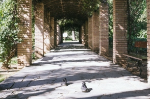 Γιώργος Ζώης: Ο σκηνοθέτης του «Αρκάντια» παρουσιάζει και γράφει στην ATHENS VOICE για το φωτογραφικό project με τα αδέσποτα παπούτσια στην Αθήνα.