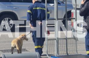 Σαντορίνη: Νέα ομάδα πυροσβεστών της ειδικής υπηρεσίας της ΕΜΑΚ κατέφθασε το μεσημέρι της Τετάρτης προκειμένου να αναλάβει υπηρεσία και να προσφέρει βοήθεια