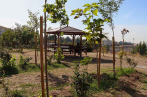 Πώς μπορεί ένα βρώσιμο δάσος να δώσει πνοή στο αστικό περιβάλλον;