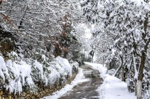 Ο Μαρουσάκης απάντησε για την «πρόγνωση της τσίκνας» και τα σχόλια των μετεωρολόγων για τα χιόνια 