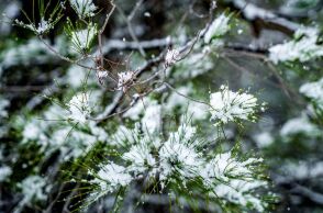 Ο καιρός σήμερα, Σαββατο 22 Φεβρουαρίου: Νέα πτώση της θερμοκρασίας - Πιθανότητα χιονοπτώσεων - Αναλυτική πρόγνωση από το meteo και την ΕΜΥ