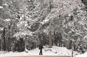 Χιονισμένο τοπίο στην Πάρνηθα