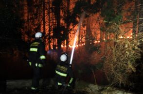 Ιαπωνία: Η χειρότερη δασική πυρκαγιά των τελευταίων 50 ετών συνεχίζει να καίει ανεξέλεγκτα