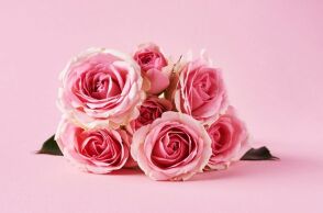 Εορτολόγιο: Σήμερα 4 Μαΐου 2025 γιορτάζει…