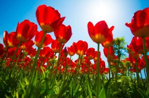 Εορτολόγιο: Σήμερα 14 Μαρτίου 2025  γιορτάζει…