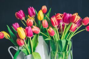 Εορτολόγιο: Σήμερα 18 Μαρτίου 2025, γιορτάζει…