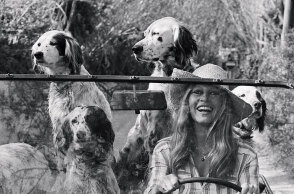 Chic Dogs: Μια φωτογραφική ιστορία με σκυλιά σαλονιού