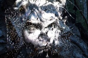 The Garden of Pythia του Charles Sandison: Μια νέα site-specific ανάθεση του PCAI στους Δελφούς