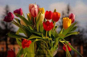 Εορτολόγιο: Σήμερα 5 Απριλίου 2025 γιορτάζει...