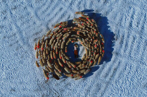 «Magnificent» του Jody Xiong: Μια ελεγεία στην ψυχή της αρχαίας Yutian