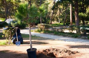 Δήμος Αθηναίων: Το Πράσινο Ταμείο ενέκρινε χρηματοδότηση για την ανάπλαση και ανάδειξη του λόφου του Φιλοπάππου - Δούκας: «Λύνουμε ένα πρόβλημα δεκαετιών»