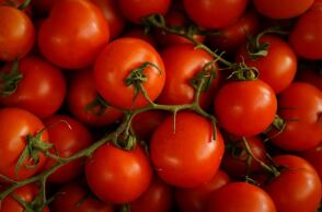 Ο Ντόναλντ Τραμπ επιβάλλει δασμούς 21% στις ντομάτες από το Μεξικό - Θα τεθεί σε εφαρμογή από τα μέσα Ιουλίου