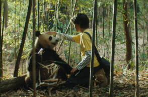 Το μικρό μου πάντα: Μια φιλόζωη περιπέτεια από τη μακρινή Κίνα