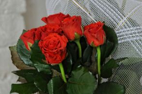 Εορτολόγιο: Σήμερα 20 Απριλίου 2025 γιορτάζει…