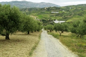 Πρόγραμμα εξοικονόμησης νερού Zero Drop της Coca-Cola