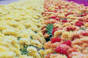 Εορτολόγιο: Σήμερα 7 Μαΐου 2024 γιορτάζει…