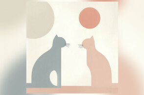 Γάτες: Ένα μεγάλο αφιέρωμα