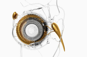 Κώστας Πnγαδάς: Θα ήθελα τα έργα µου να «θεραπεύουν την ανθρώπινη ψυχή»